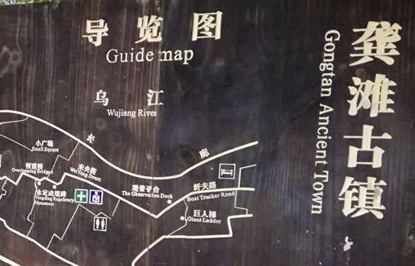 悌[D