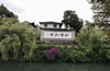 혹