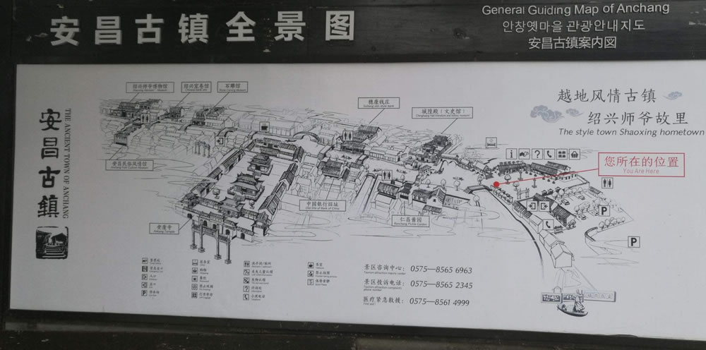 悌ΈD